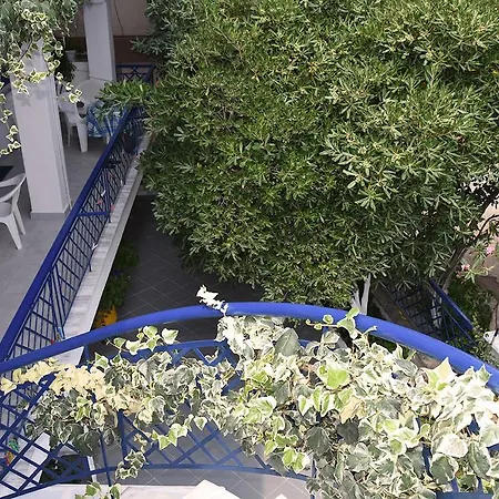 Apartmán Stegiovana *