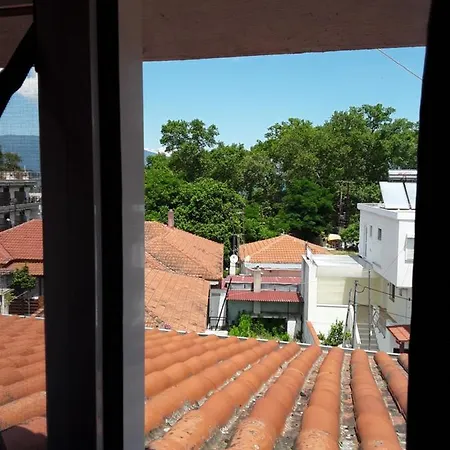 Stegiovana *